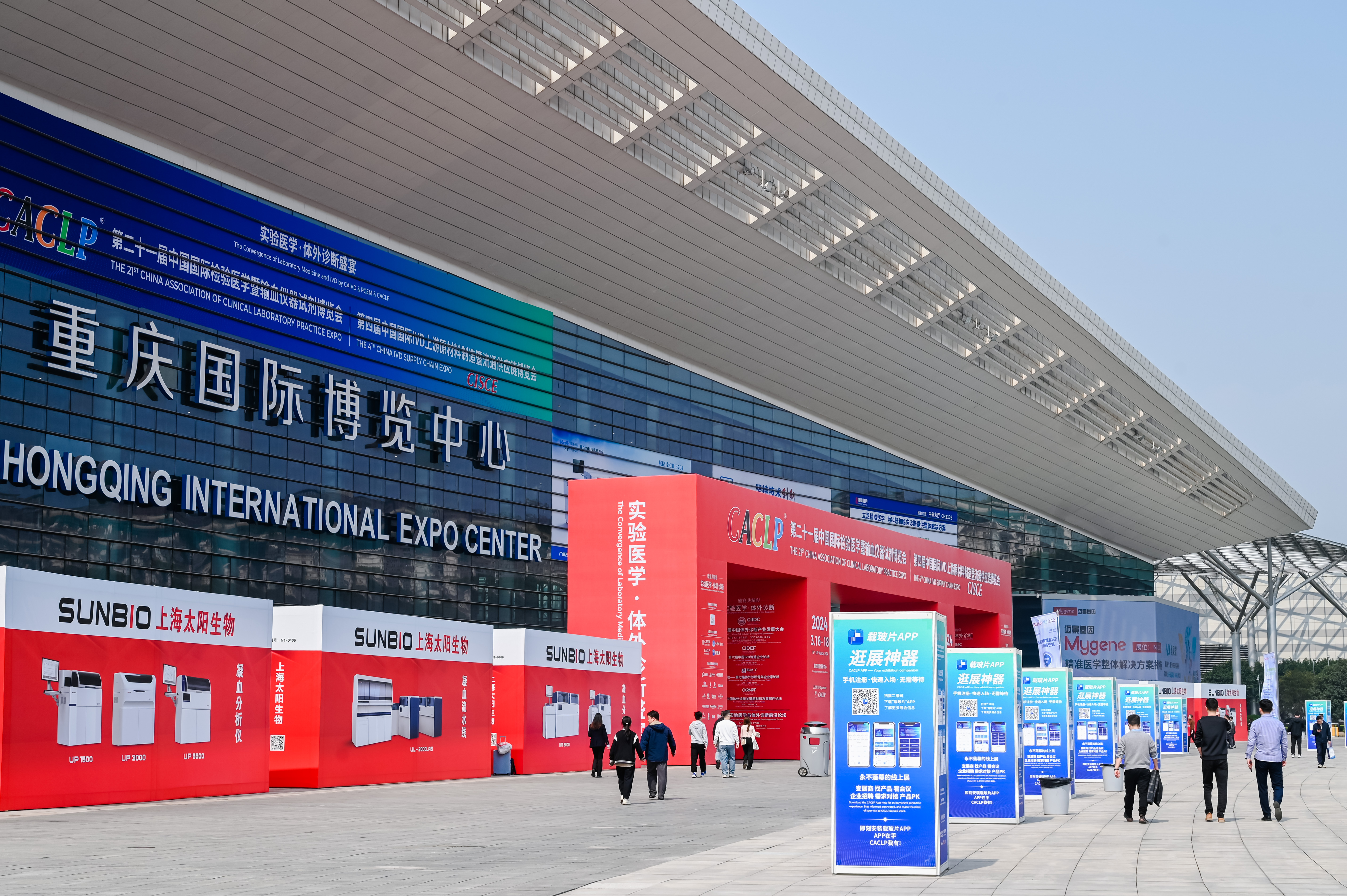 46510799_20240316141235_485708_737112265_CLZ8674