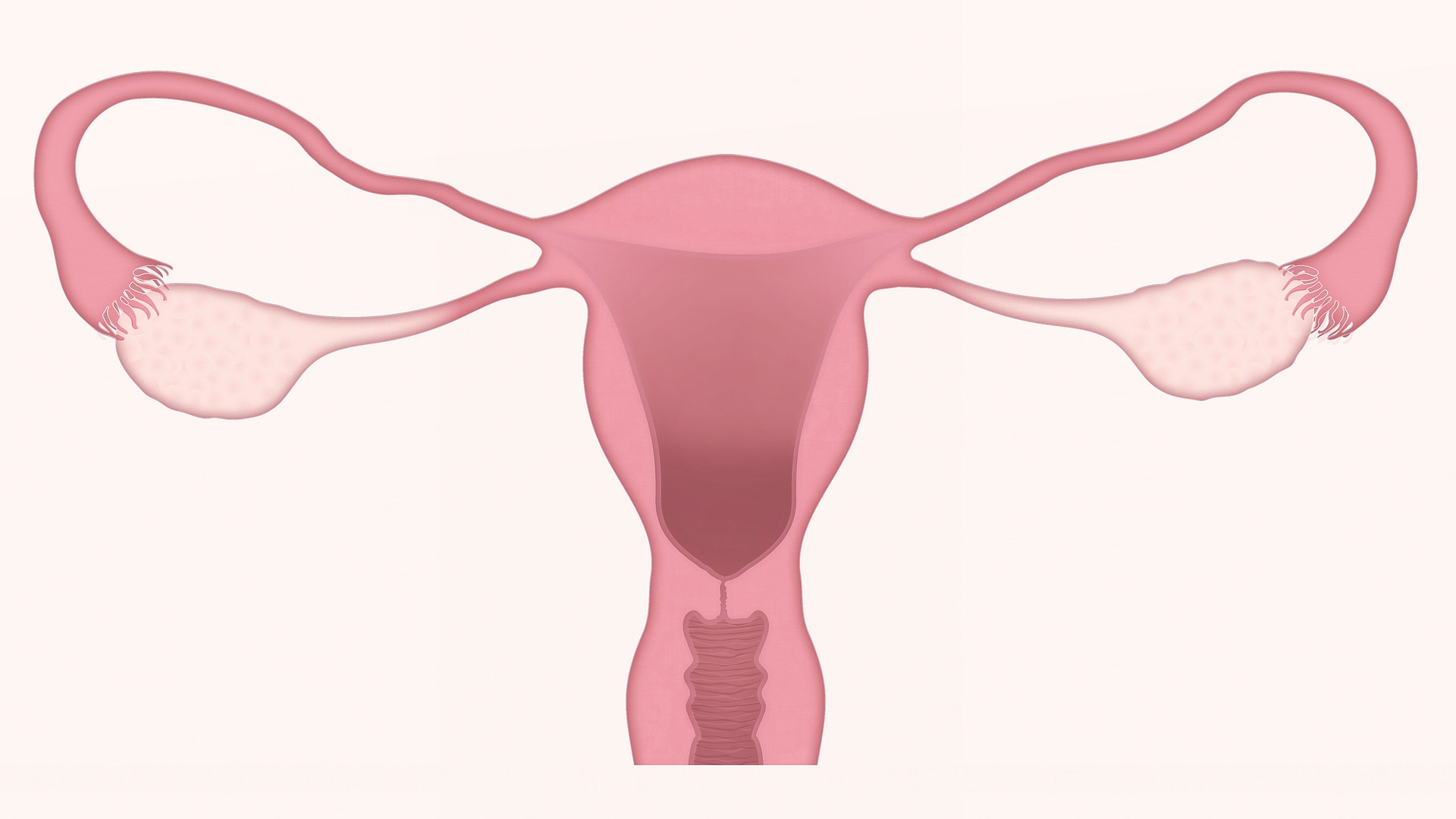 Menstrual Cycle Changes Associated With COVID-19 Vaccine