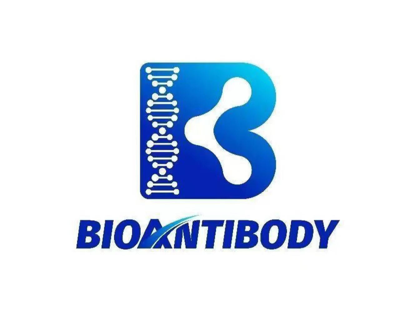 Bioantibody has completed its nearly 100 million CNY first round of financing